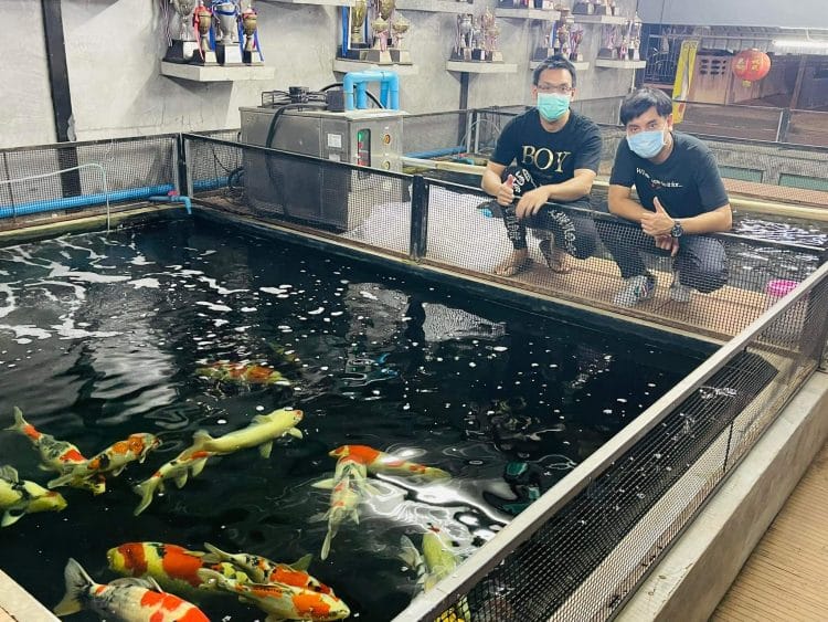 Surat Fish Farm
