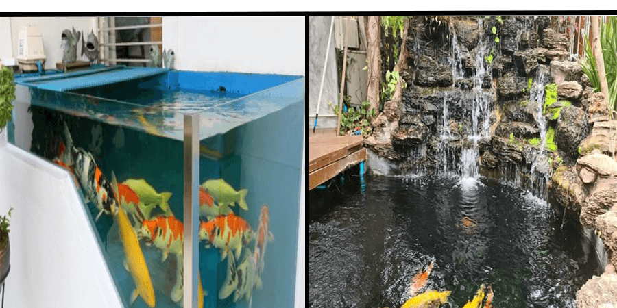 ตู้ปลาคราฟ