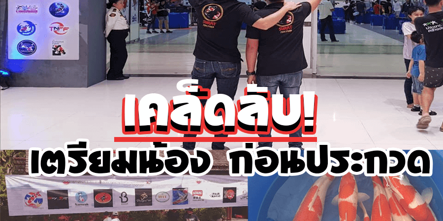 ปลาคราฟ ประกวด