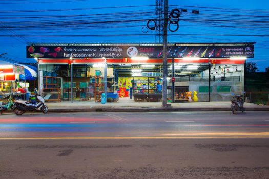 ฟาร์มแหล่งรวม ปลาคราฟ ระดับ Hi-end