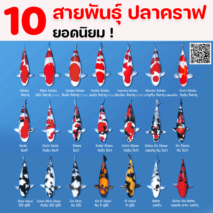สายพันธุ์ ปลาคราฟ