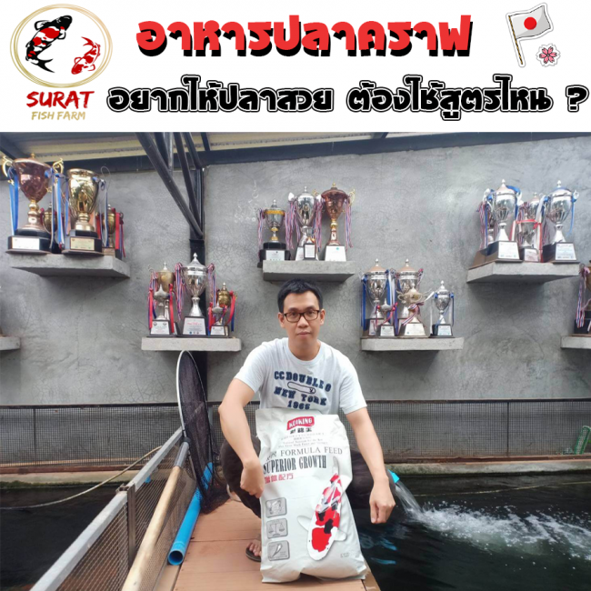 อาหารปลาคราฟ อาหารปลาคราฟ